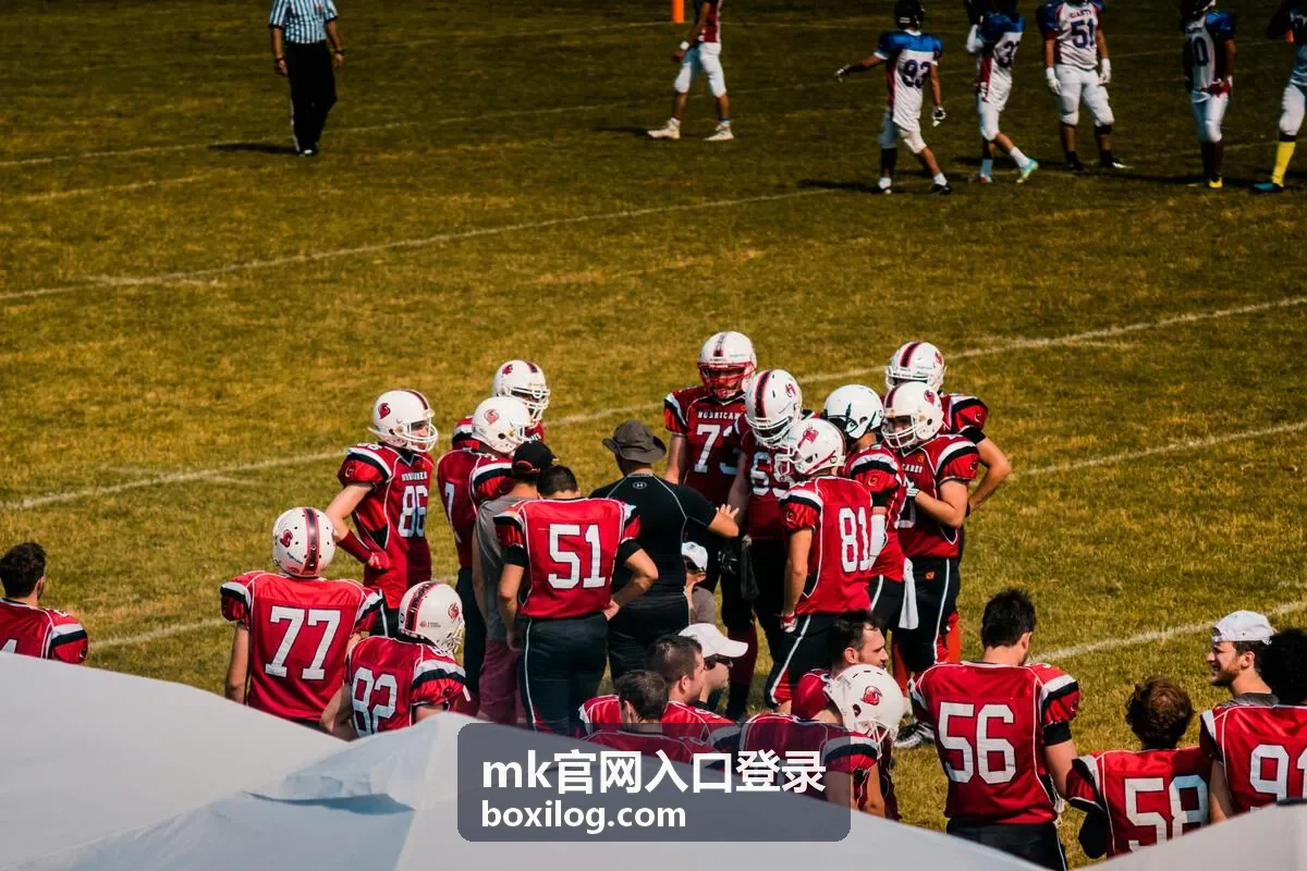 MK官网入口登录页面访问示意图