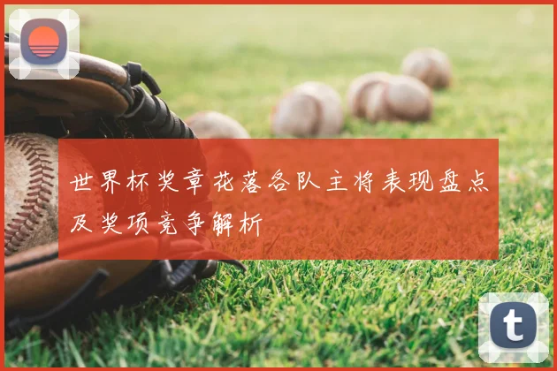 世界杯奖章花落各队主将表现盘点及奖项竞争解析