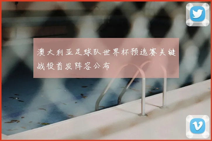 澳大利亚足球队世界杯预选赛关键战役首发阵容公布