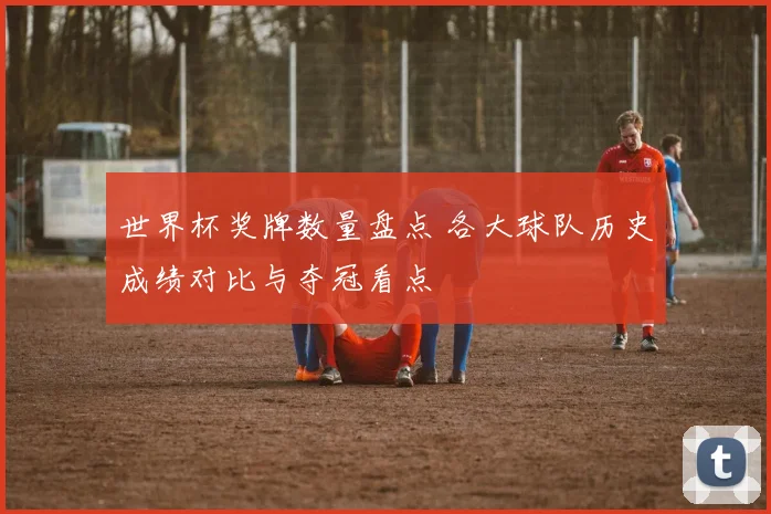 世界杯奖牌数量盘点 各大球队历史成绩对比与夺冠看点