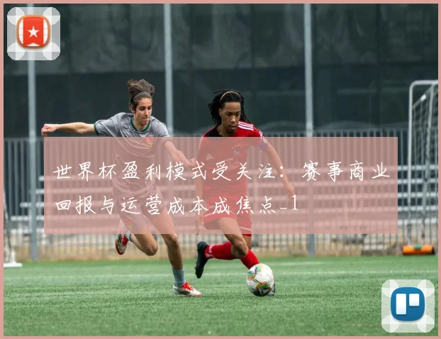 世界杯盈利模式受关注:赛事商业回报与运营成本成焦点_1