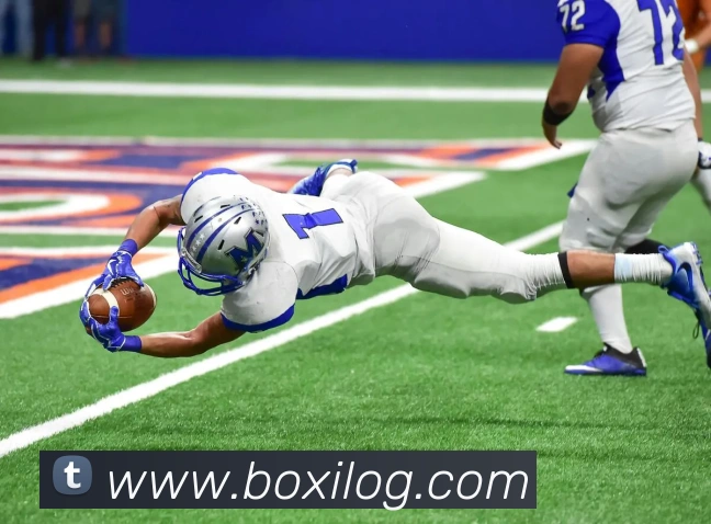 大阳城集团资料大全全站App 大阳城集团资料大全全站App